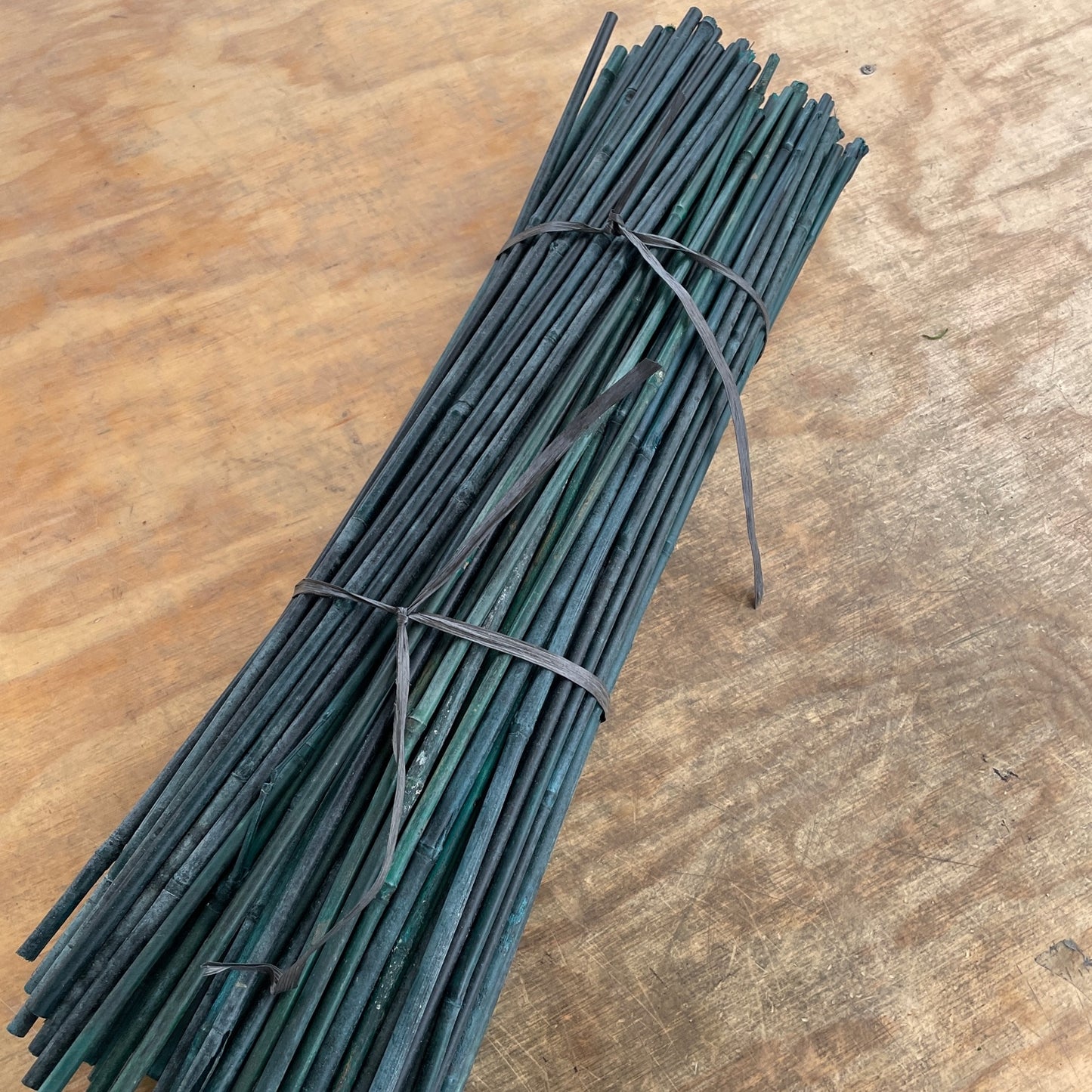 2 ft. Bamboo Plant Stakes (Green - 10/bundle)