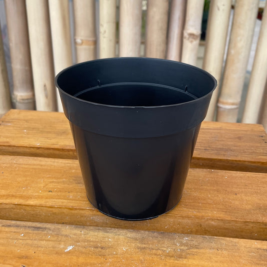 4" Round Std Pot (Black)