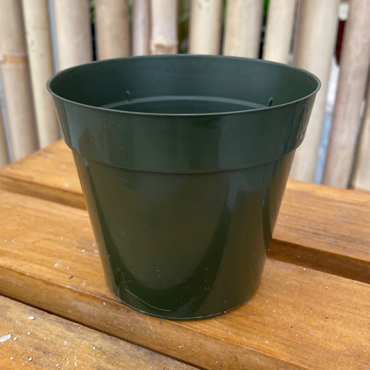 4" Round Std Pot (Green)