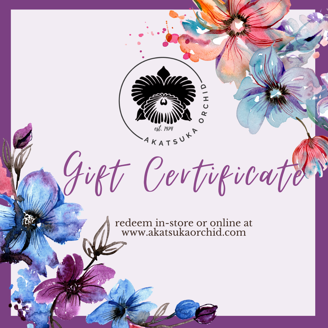 Akatsuka Gift Certificate