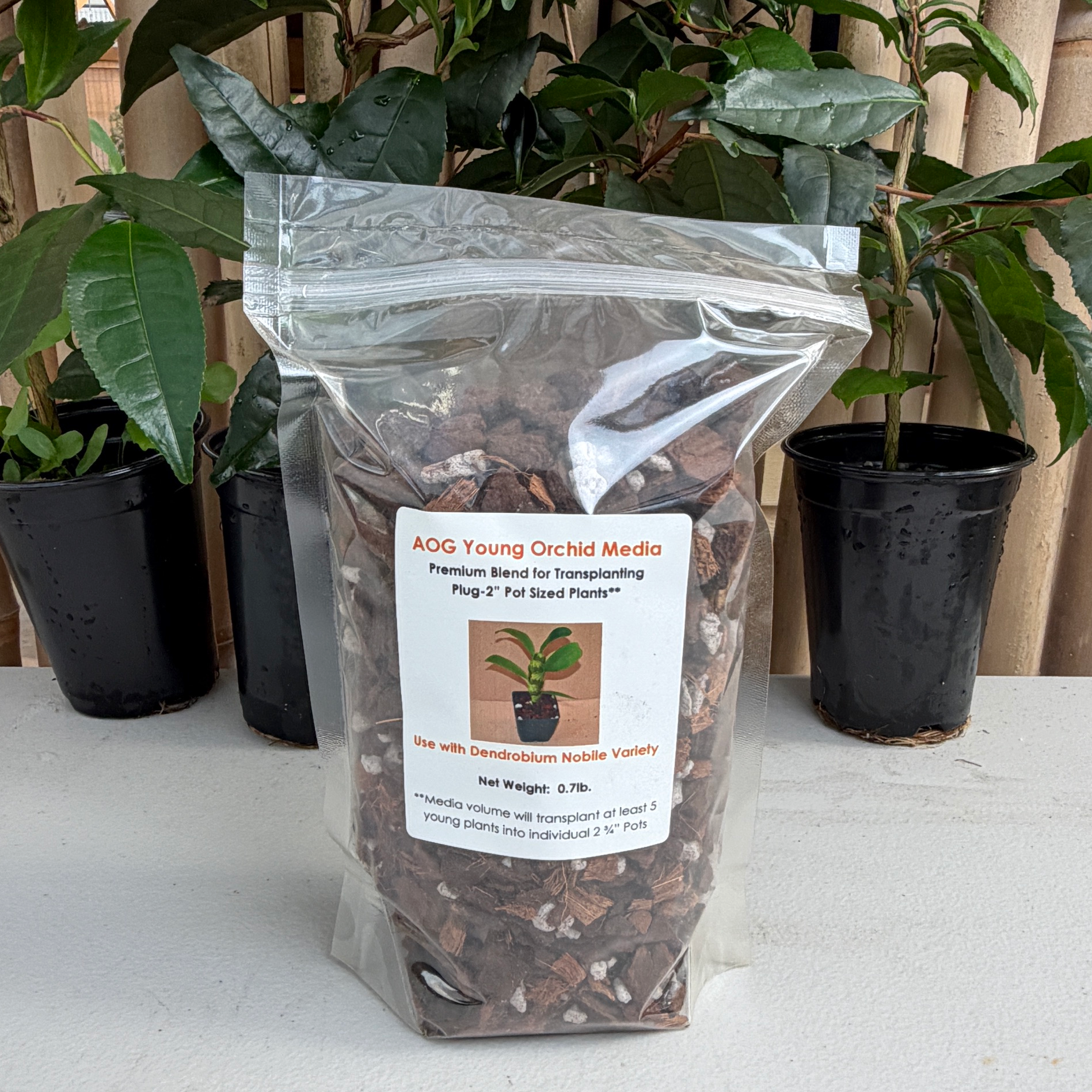 AOG Bark Mix - Young Orchid (Dendrobium) – Akatsuka Orchid Gardens