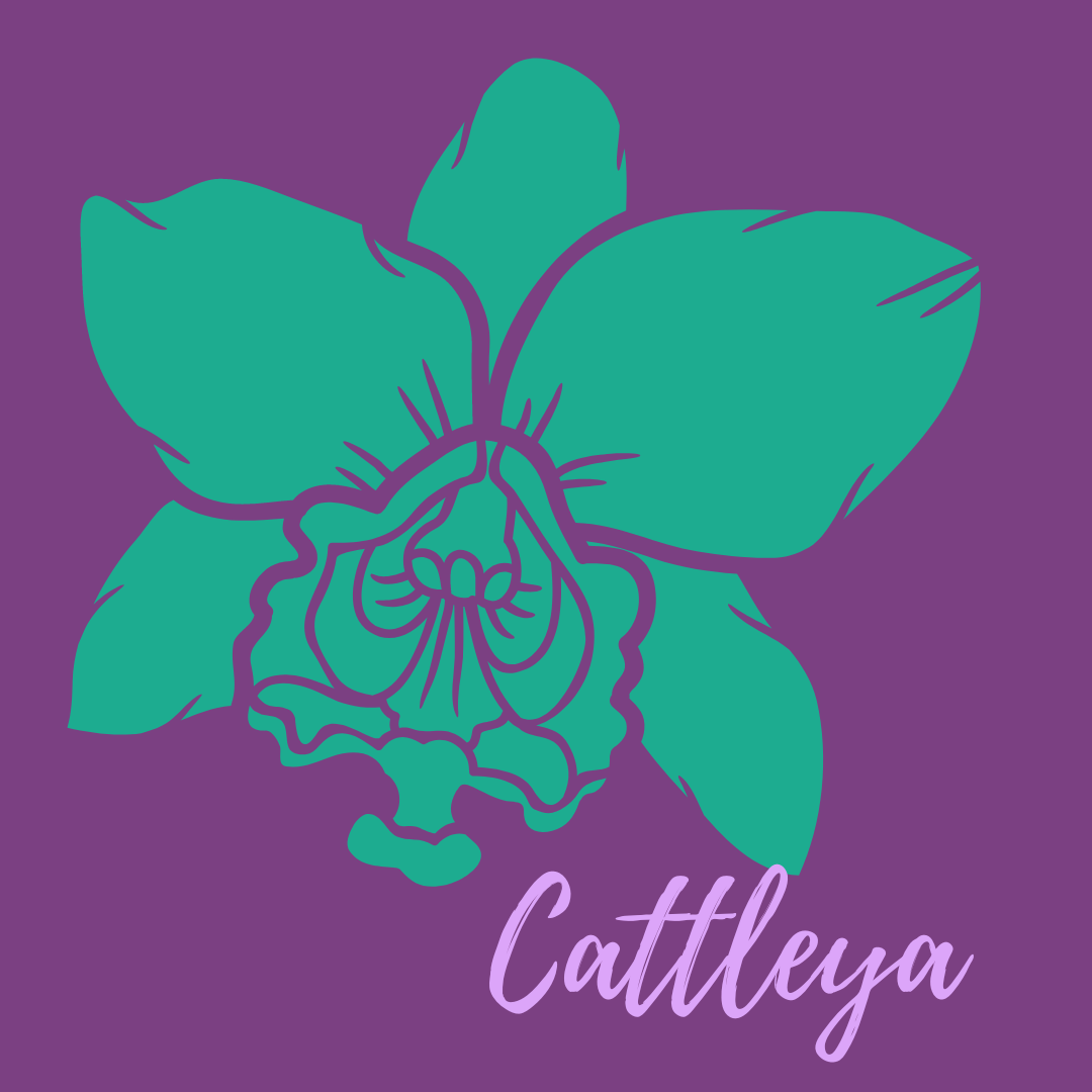 Caring for Cattleya Orchids- Answers to A Beginner's Questions