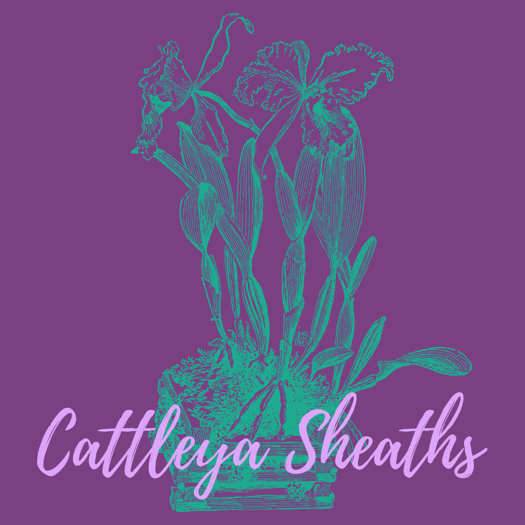 Why are my Cattleya pseudobulbs turning brown?