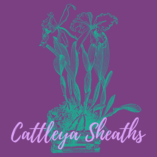 Why are my Cattleya pseudobulbs turning brown?