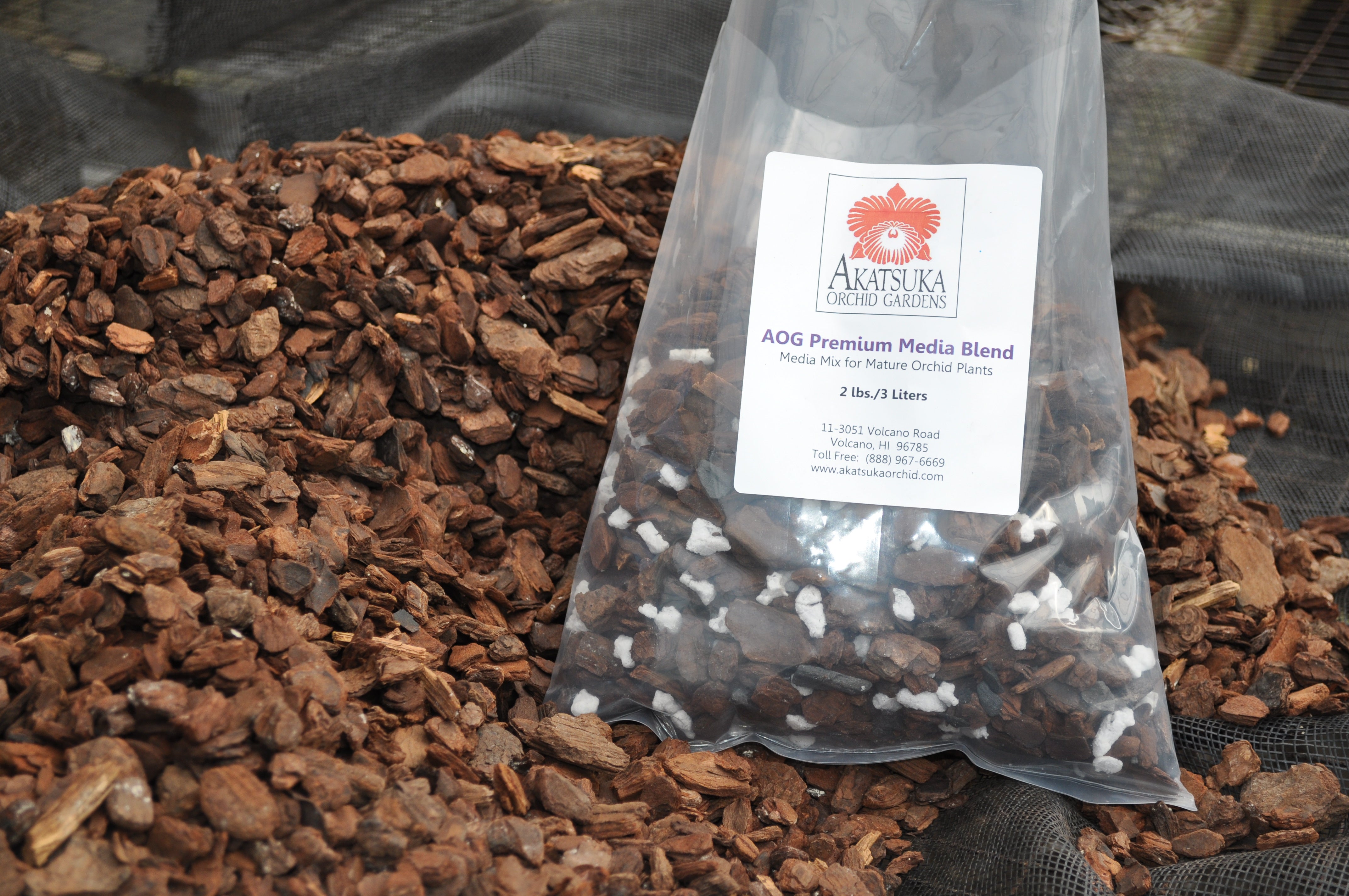 Orchid Media -- What Should I Use to Plant My Orchid? – Akatsuka