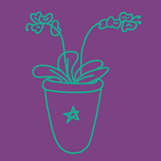 How Do I Get My Orchid to Rebloom?