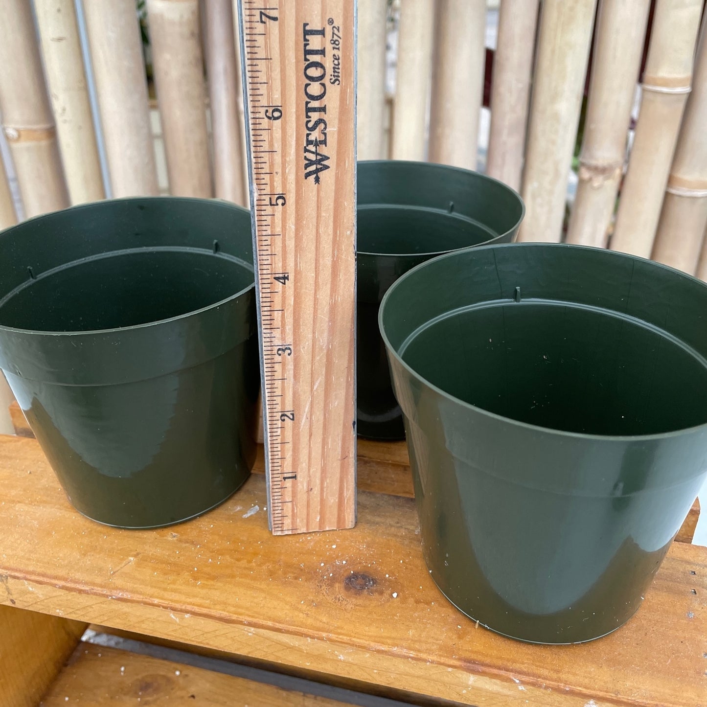 4" Round Std Pot (Green)