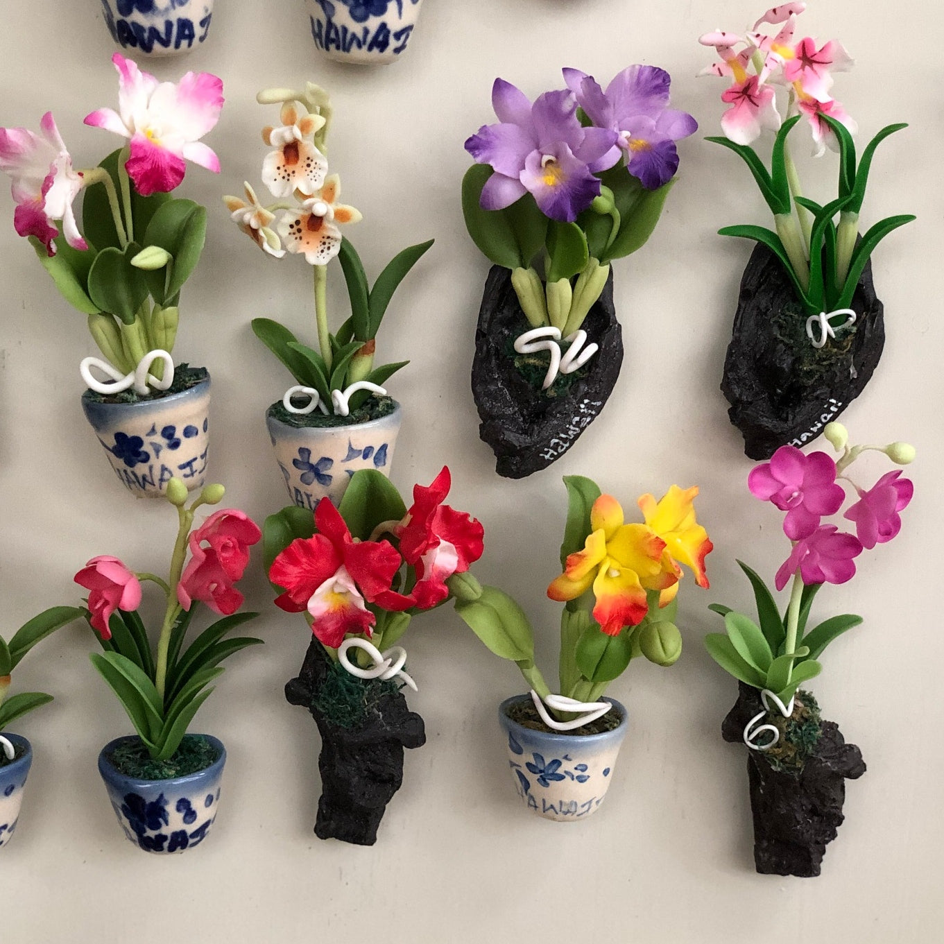 Winter Cheer Special* – Akatsuka Orchid Gardens Winter Cheer Special* – Akatsuka Orchid Gardens