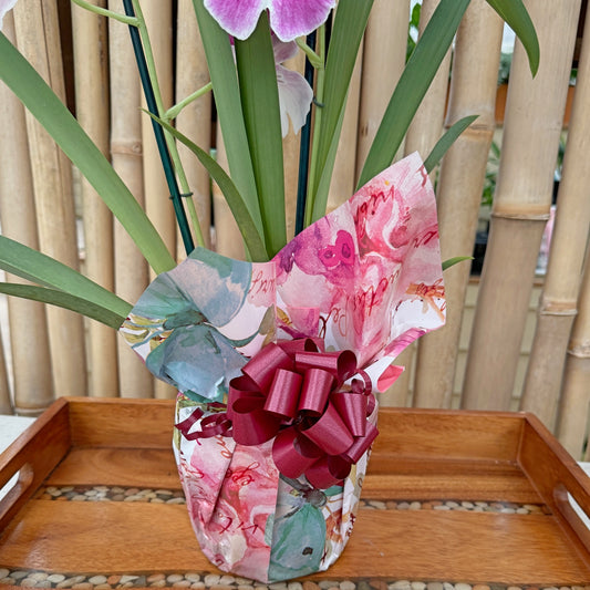 Gift Wrap