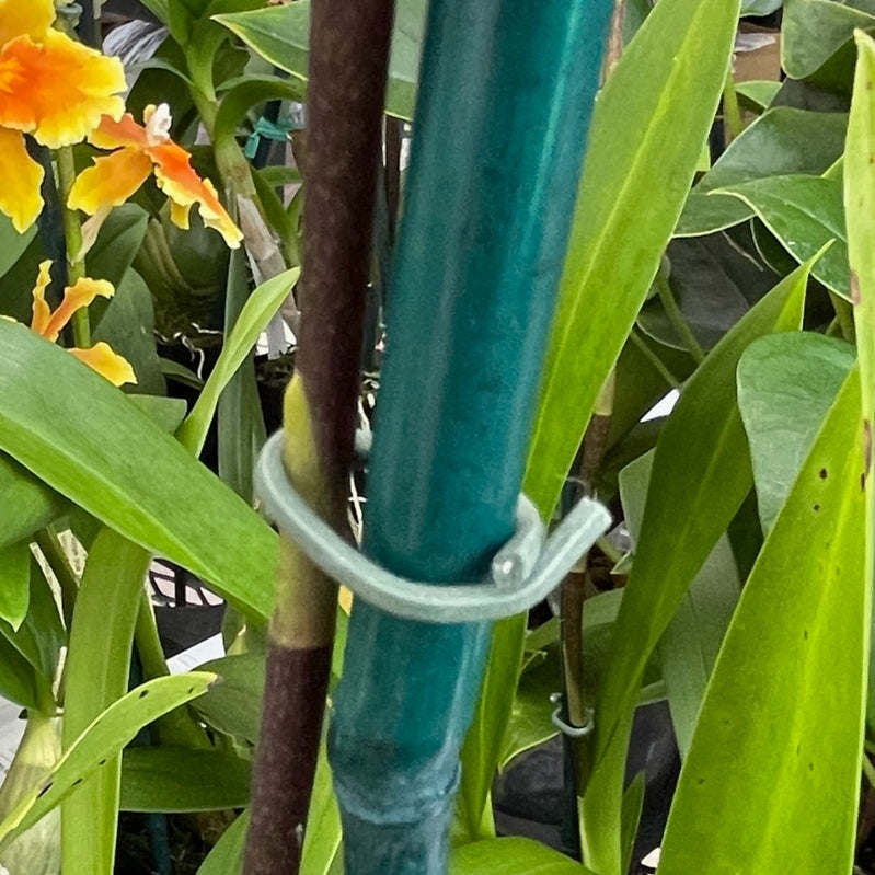 Rubber Coated Twist Ties (100/pk) – Akatsuka Orchid Gardens